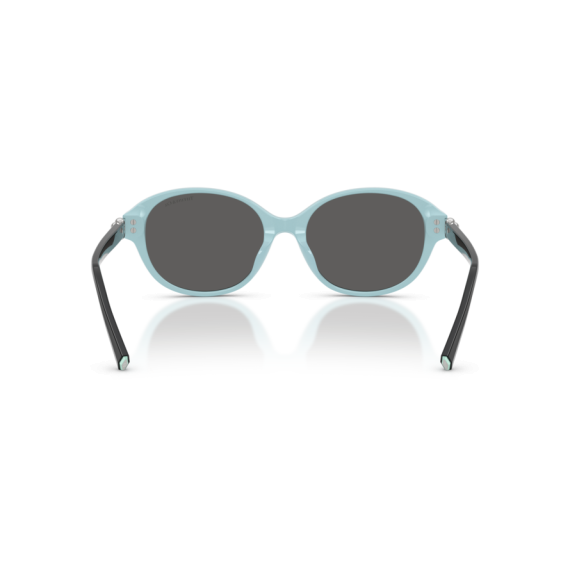 Tiffany TF 4263D 8055S4 Güneş Gözlüğü