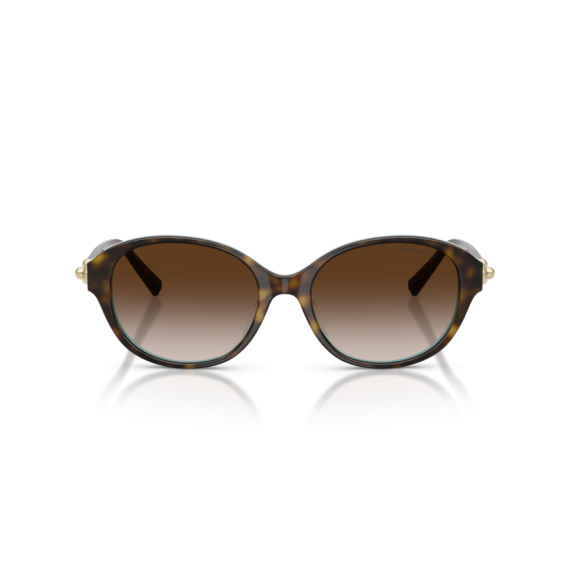 Tiffany TF 4263D 81343B Güneş Gözlüğü