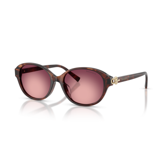 Tiffany TF 4263D 84218H Güneş Gözlüğü