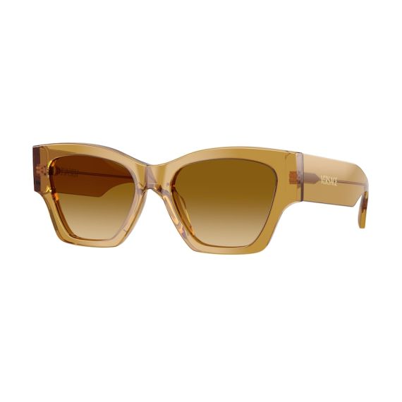 Versace VE 4492U 53472L Güneş Gözlüğü