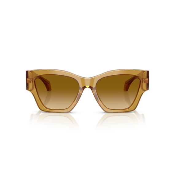 Versace VE 4492U 53472L Güneş Gözlüğü