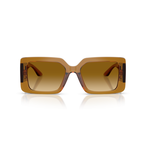 Versace VE 4505U 53422L Güneş Gözlüğü