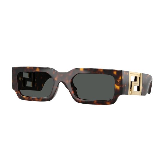 Versace VE 4506U 108/87 Güneş Gözlüğü
