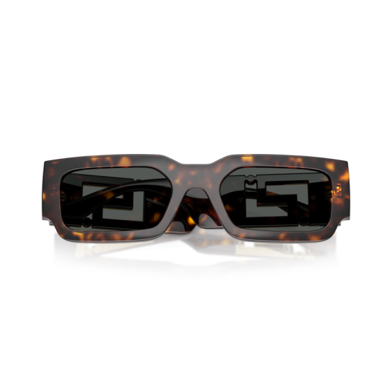 Versace VE 4506U 108/87 Güneş Gözlüğü