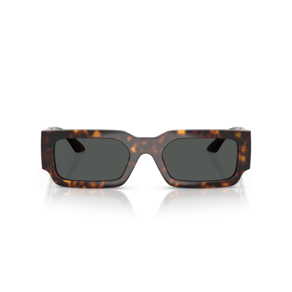 Versace VE 4506U 108/87 Güneş Gözlüğü