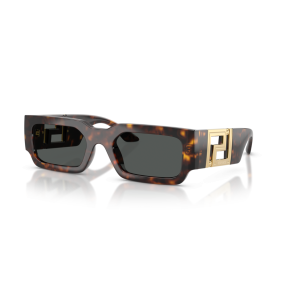 Versace VE 4506U 108/87 Güneş Gözlüğü