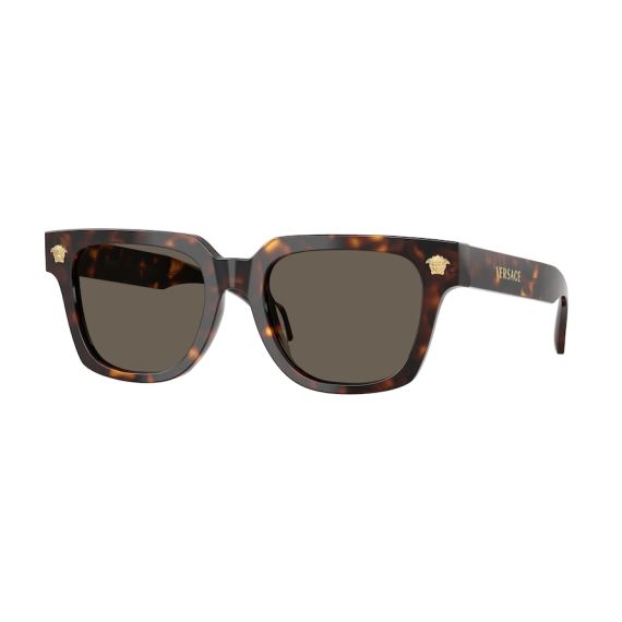 Versace VE 4510U 108/3 Güneş Gözlüğü