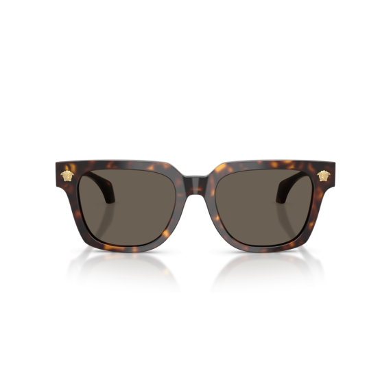 Versace VE 4510U 108/3 Güneş Gözlüğü