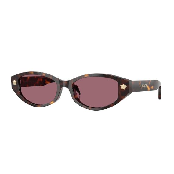 Versace VE 4512D 108/1A Güneş Gözlüğü