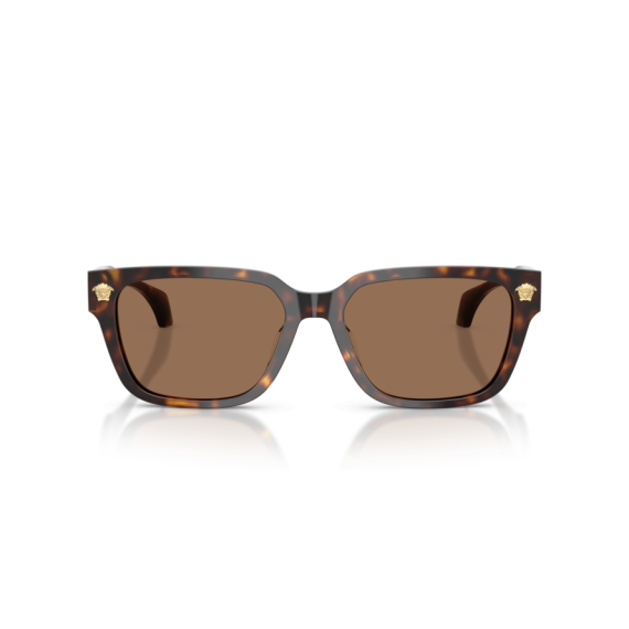 Versace VE 4513D 108/73 Güneş Gözlüğü