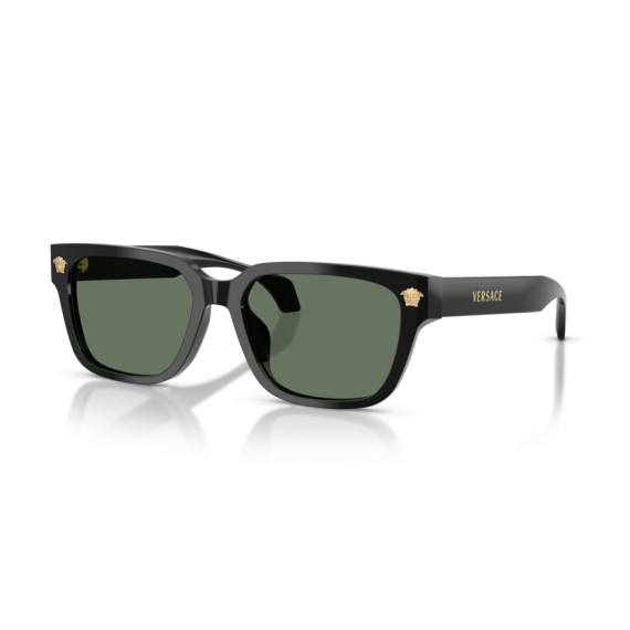 Versace VE 4513D GB1/82 Güneş Gözlüğü
