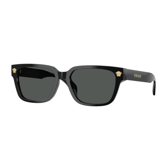 Versace VE 4513D GB1/87 Güneş Gözlüğü