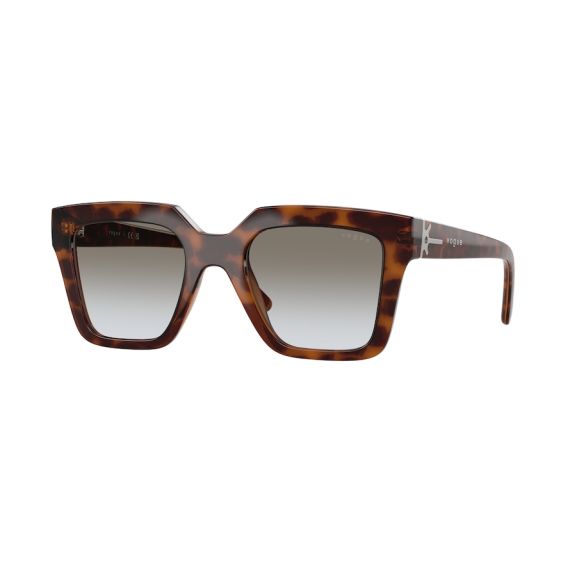Vogue VO 5690S 23868G Güneş Gözlüğü