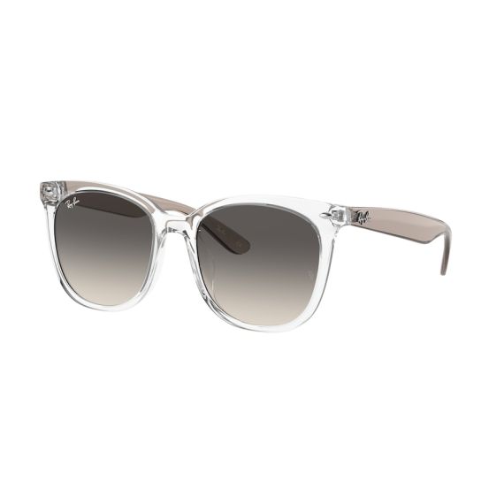 Ray-Ban RB 4379D 659811 Güneş Gözlüğü