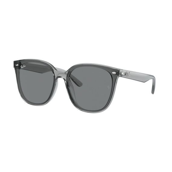 Ray-Ban RB 4423D 645087 Güneş Gözlüğü