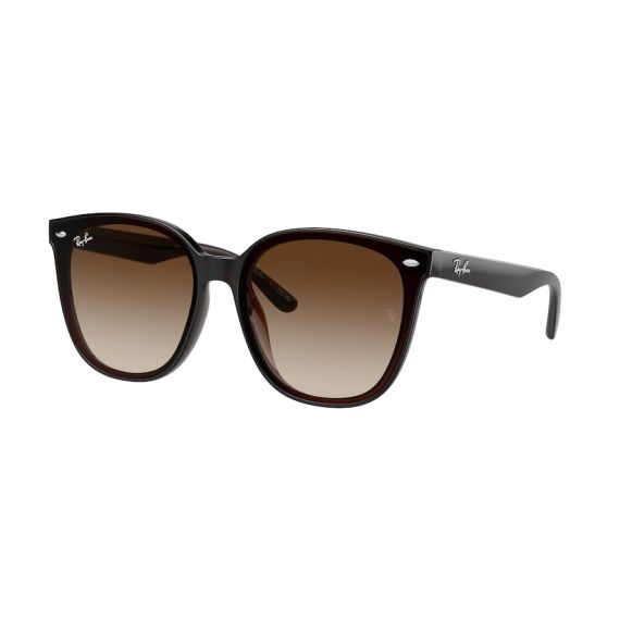 Ray-Ban RB 4423D 714/13 Güneş Gözlüğü