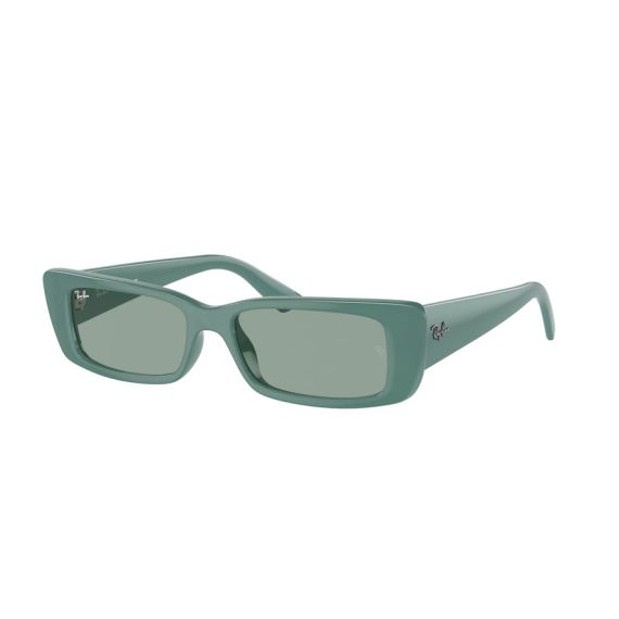 Ray-Ban RB 4425 676282 Güneş Gözlüğü
