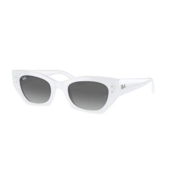 Ray-Ban RB 4430 675911 Güneş Gözlüğü, Ekartman: 49