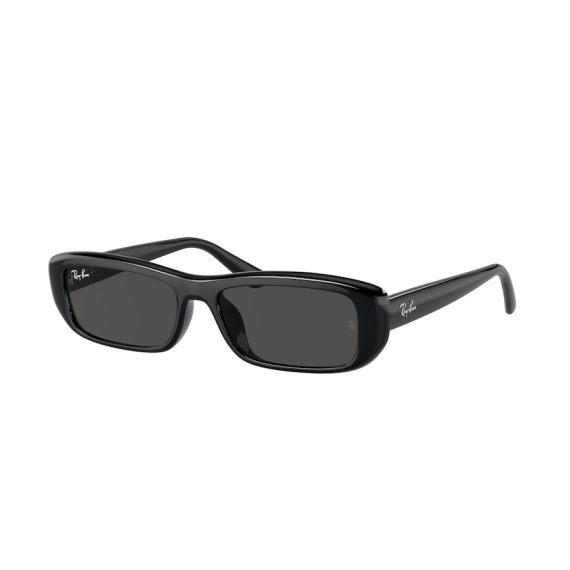 Ray-Ban RB 4436D 667787 Güneş Gözlüğü