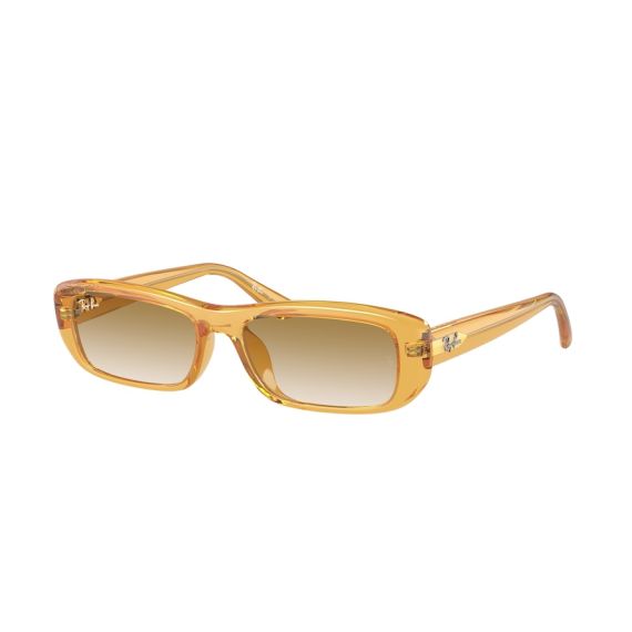 Ray-Ban RB 4436D 668213 Güneş Gözlüğü