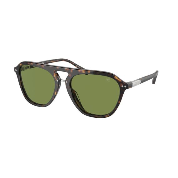 Ralph Lauren RL 8219U 50034E Güneş Gözlüğü