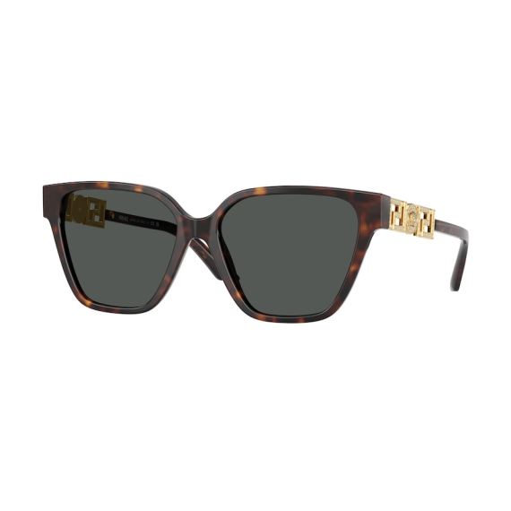 Versace VE 4471B 108/87 Güneş Gözlüğü