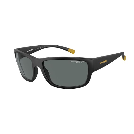 Arnette AN 4256 01/81 Güneş Gözlüğü