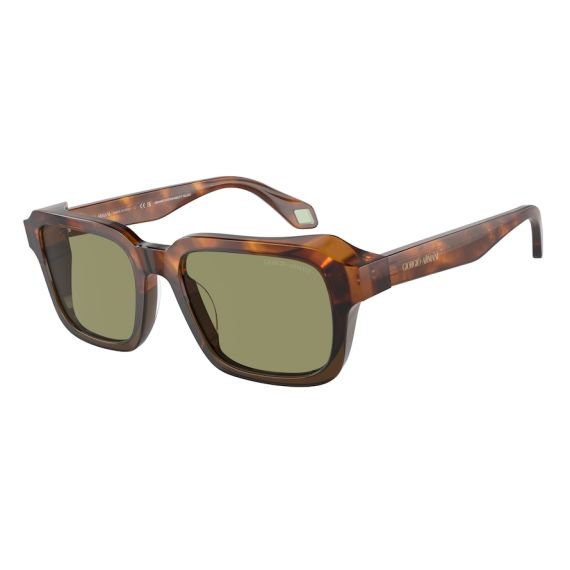 Giorgio Armani AR 8194U 598814 Güneş Gözlüğü