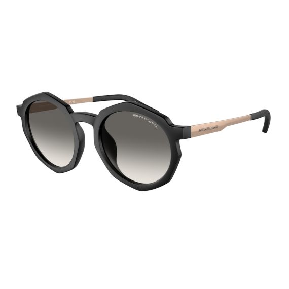Armani Exchange AX 4132SU 815811 Güneş Gözlüğü