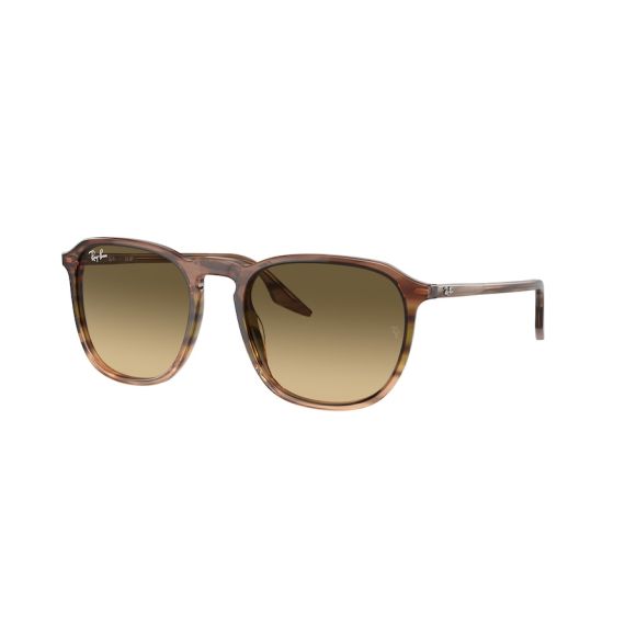 Ray-Ban RB 2203 13920A Güneş Gözlüğü, Ekartman: 55