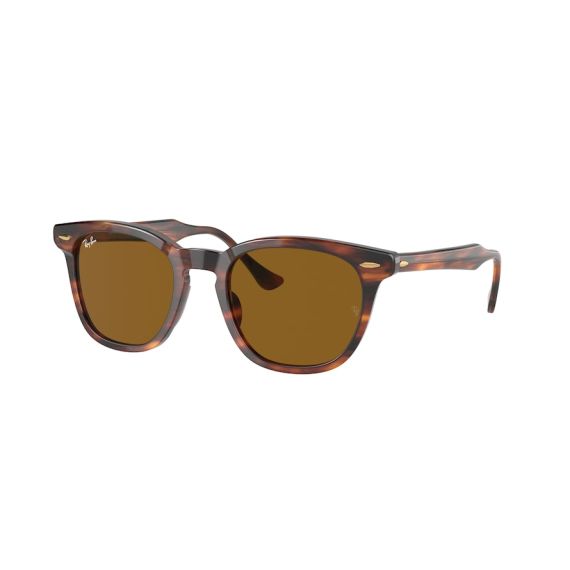 Ray-Ban RB 2298 954/33 Güneş Gözlüğü