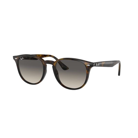 Ray-Ban RB 4259 710/11 Güneş Gözlüğü