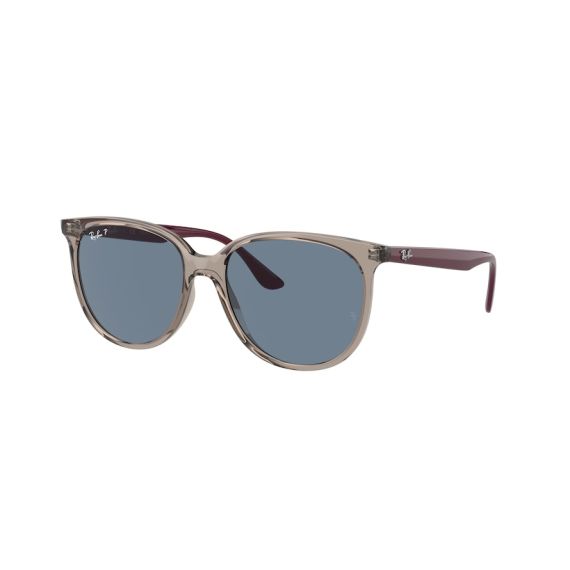 Ray-Ban RB 4378 65722V Güneş Gözlüğü