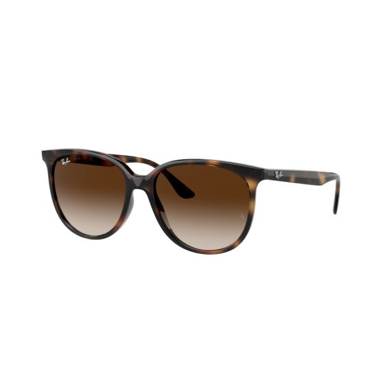 Ray-Ban RB 4378 710/13 Güneş Gözlüğü