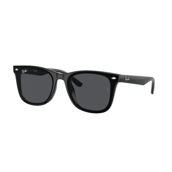Ray-Ban RB 4420 601/87 Güneş Gözlüğü