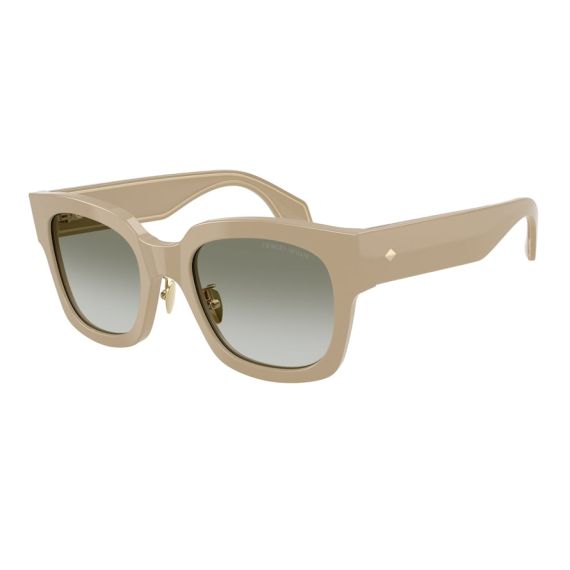 Giorgio Armani AR 8223 61618E Güneş Gözlüğü