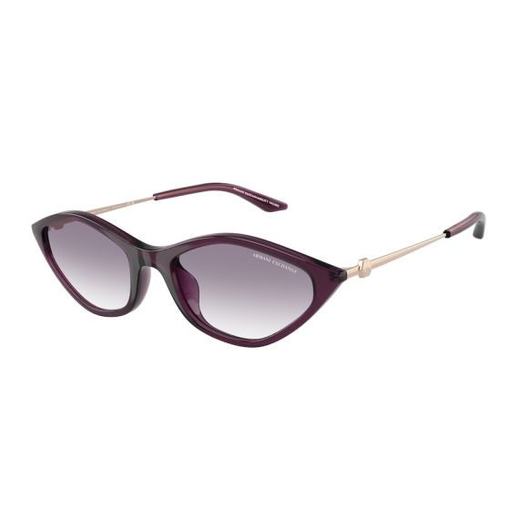 Armani Exchange AX 4152SU 836979 Güneş Gözlüğü