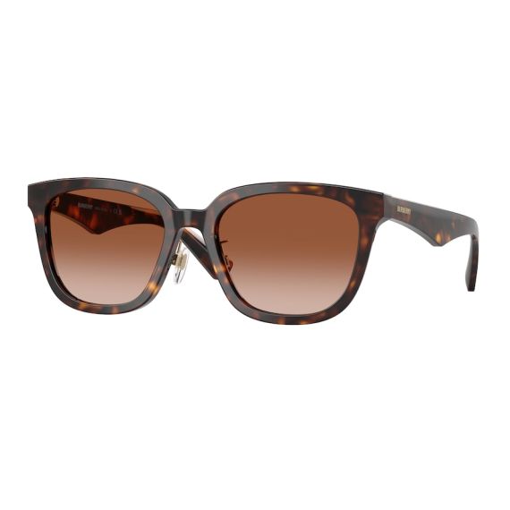 Burberry BE 4446D 300213 Güneş Gözlüğü