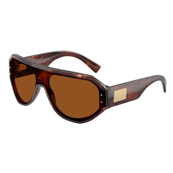 Dolce & Gabbana DG 4481 322273 Güneş Gözlüğü