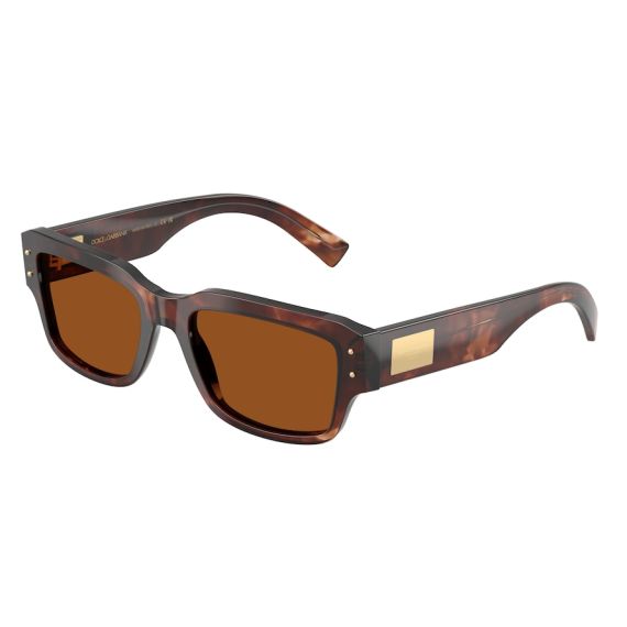 Dolce & Gabbana DG 4483 322273 Güneş Gözlüğü