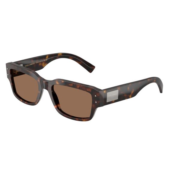 Dolce & Gabbana DG 4483 502/73 Güneş Gözlüğü