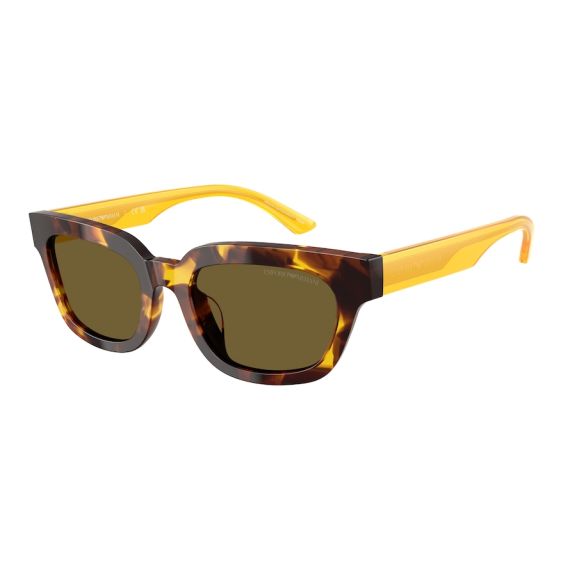 Emporio Armani EA 4233U 618173 Güneş Gözlüğü