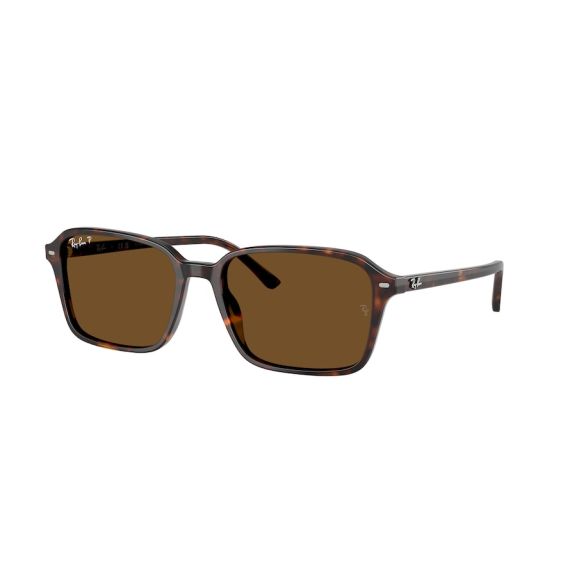 Ray-Ban RB 2231 902/57 Güneş Gözlüğü, Polarize: Evet, Ekartman: 56