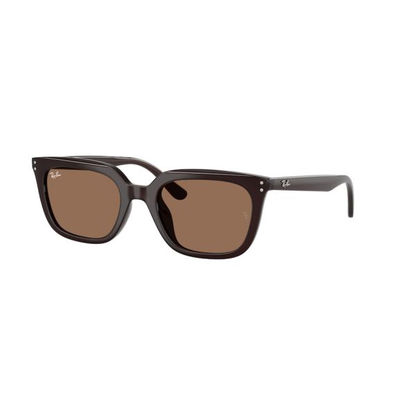 Ray-Ban RB 4439D 623173 Güneş Gözlüğü