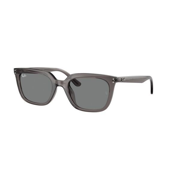 Ray-Ban RB 4439D 667587 Güneş Gözlüğü