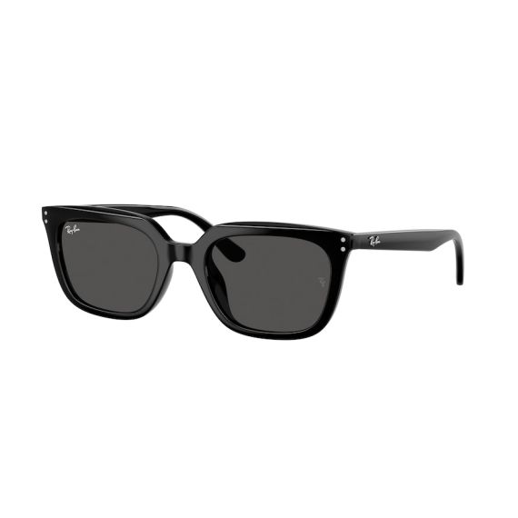 Ray-Ban RB 4439D 901/87 Güneş Gözlüğü