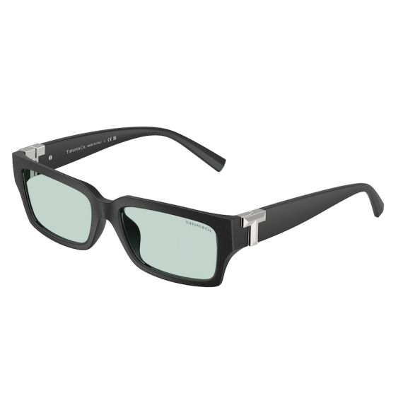 Tiffany TF 4226U 8425D9 Güneş Gözlüğü
