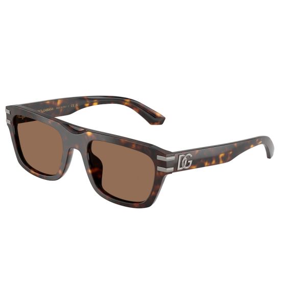 Dolce & Gabbana DG 4496 502/73 Güneş Gözlüğü
