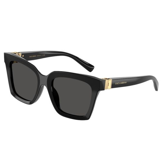 Dolce & Gabbana DG 4498 501/87 Güneş Gözlüğü