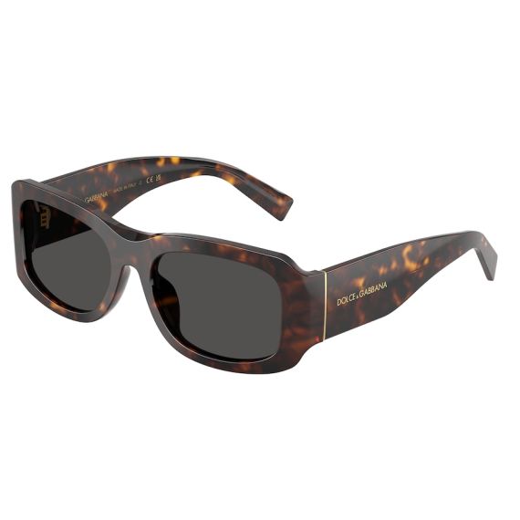 Dolce & Gabbana DG 4503 502/87 Güneş Gözlüğü